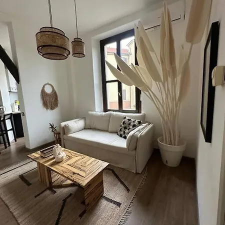 Spazio 15 - Via Baschenis Apartmán Bergamo